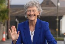 Alegeri în Irlanda: un candidat de stânga învinge pe fondul absenteismului masiv