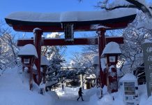 Ninsori severe în Japonia: transport blocat și numeroase victime