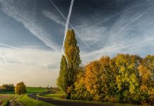 Prognoza meteo pentru luna mai 2026: vreme caldă și episoade de ploi locale