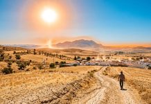 Un dom de căldură extremă aduce în Europa temperaturi de 43°C și nopți tropicale sufocante