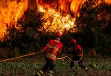 Incendiile de vegetație se extind în sudul Europei. Franța, Spania și Italia se confruntă cu una dintre cele mai dificile veri din ultimii ani