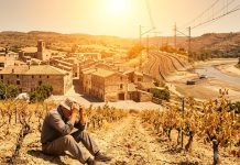 Căldura extremă, noul șoc economic al Europei: Cum transformă canicula vulnerabilitățile continentului într-o criză financiară