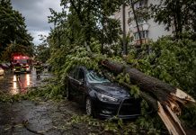Furtunile violente au paralizat România: bilanț sever în București și în 20 de județe, cu aproape o mie de copaci doborâți și o victimă în Ilfov (VIDEO)