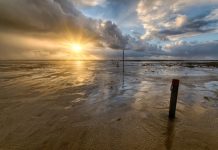 Oceanele lumii au atins un record istoric de temperatură în august 2026