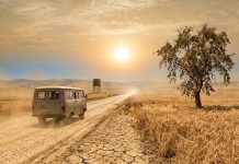 Vremea în București și în țară: Până la 41 de grade Celsius și nopți tropicale la început de august 2026