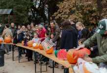 Aproape 100 de dovleci au cucerit Grădina Icoanei. Bucureștenii au transformat parcul într-o galerie în aer liber