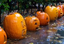 West Side Hallo Fest, amânat din cauza ploilor. Festivalul de Halloween din București va avea loc în perioada 6–8 noiembrie halloween