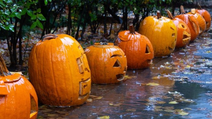 halloween