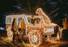 Lumina Park București 2026: peste 200 de instalații luminoase transformă Grădina Botanică într-o călătorie în jurul lumii lumina-park-bucuresti-2026