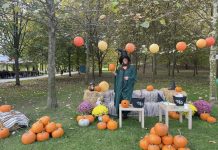Începe Titan Pumpkin Fest: 5 tone de dovleci, delicii de toamnă și sute de idei creative în Parcul Titan!